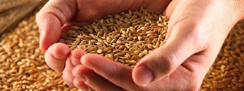 14 января: какой сегодня праздник