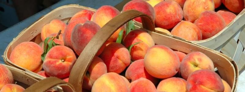 Где в Киеве купить малину, абрикосы и сладкие персики возле дома: адреса