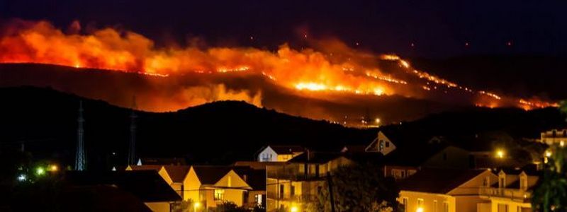 Утечка химикатов на заводе в Запорожье, задержание Дмитрия Гудкова и лесной пожар в Хорватии: ТОП новостей дня