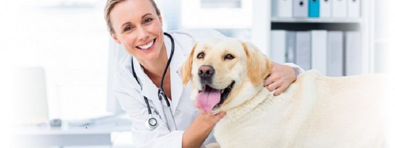 11 августа: какой сегодня праздник и что происходило в Киеве год назад