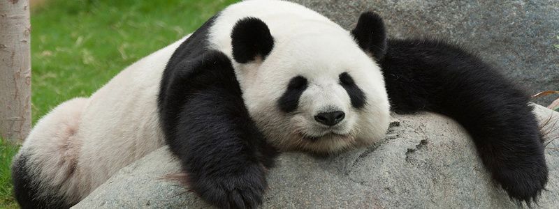 20 августа: какой сегодня праздник и что происходило в Киеве год назад