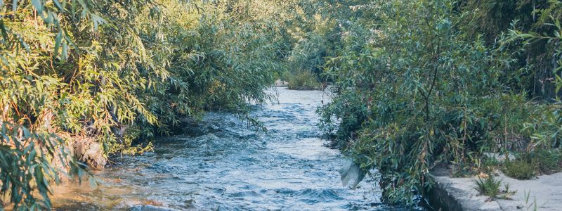 В Киеве вместо реки Лыбидь хотят построить дорогу: что там сейчас