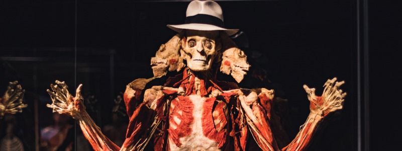 Скандально известную выставку тел на ВДНГ за одни выходные посетили 5000 человек