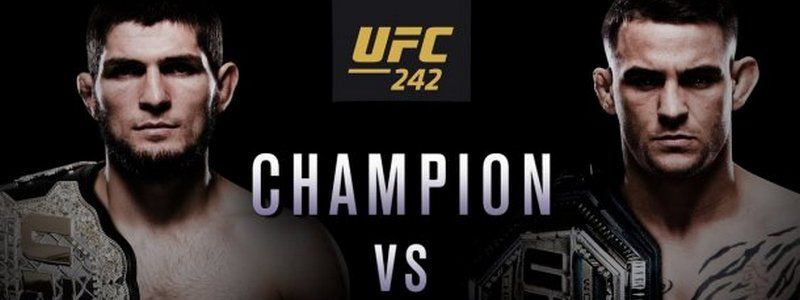 Хабиб против Порье: анонс главного боя UFC 242 и где смотреть