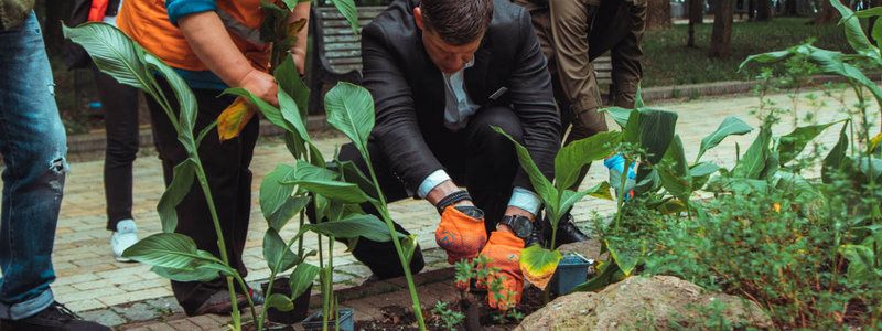 В Киеве пройдут осенние толоки с высадкой более 3000 растений: где и как принять участие