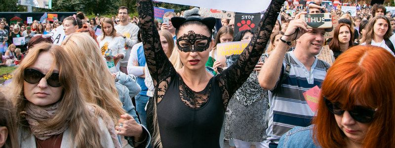 Ульяна Супрун, Джамала и леди-кошка: кто встал на защиту животных в Киеве