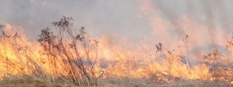 Под Киевом мужчина погиб в горящей траве