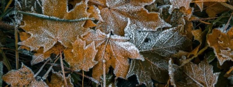 Погода на 21 сентября: на Киев надвигаются заморозки