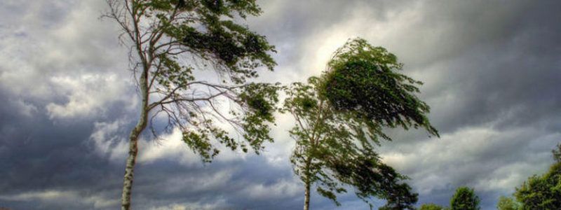 На Киев обрушится сильный ветер: как себя вести в условиях непогоды