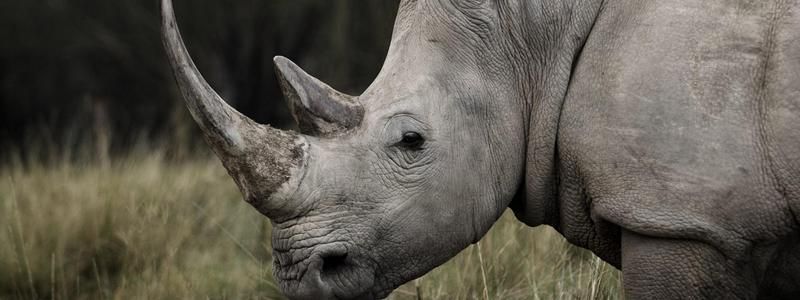 22 сентября: какой сегодня праздник и что происходило в Киеве год назад