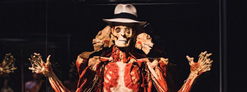 Секреты выставки BODY WORLDS на ВДНГ в Киеве: сколько желающих хотят отдать свое тело для науки