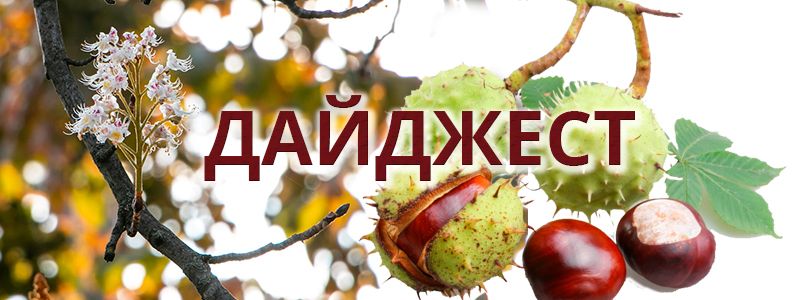 Добрый Киев: ТОП хороших новостей недели