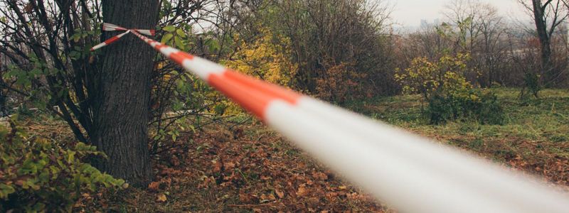 Под Киевом четверо мужчин организовали убийство: посреди улицы изрезали многодетную мать