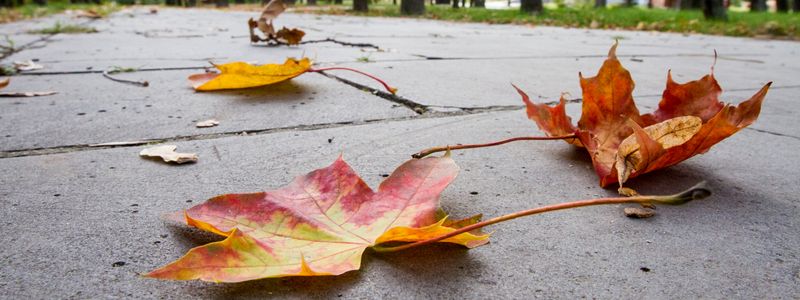 Погода на неделю: в Киев придет осенняя прохлада