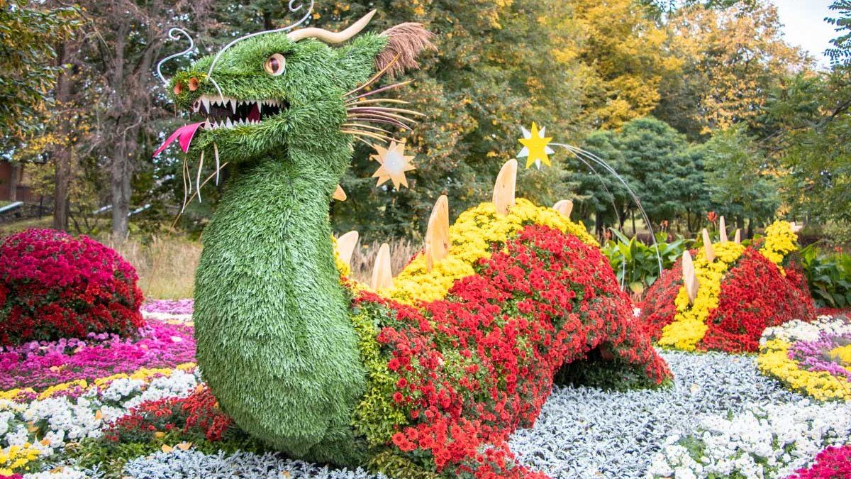 В Киеве продлили выставку хризантем на Певческом поле: успейте сделать селфи на фоне красок осени