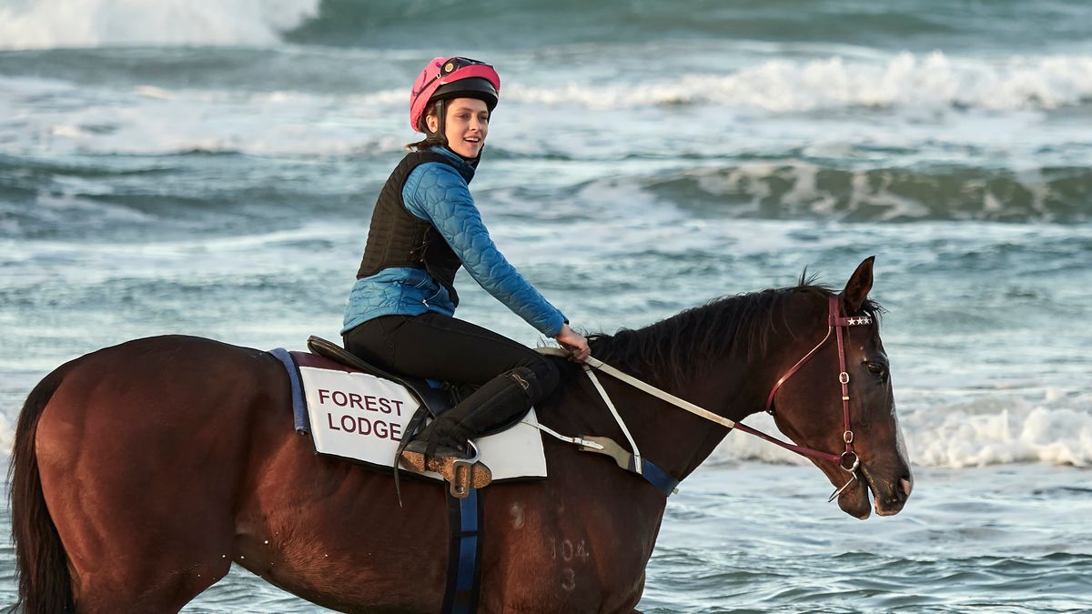 В Киеве состоится грандиозная премьера фильма "Гонки на миллион" с Сэмом Ниллом и Терезой Палмер