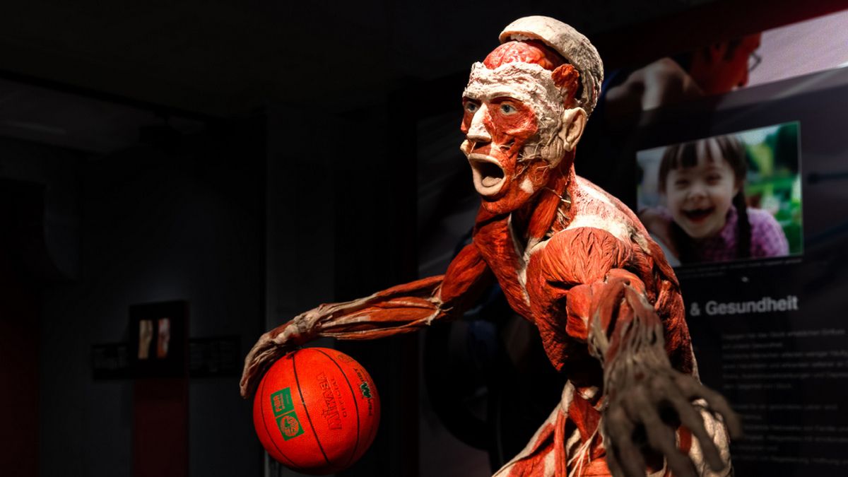 30 октября: куда пойти сегодня