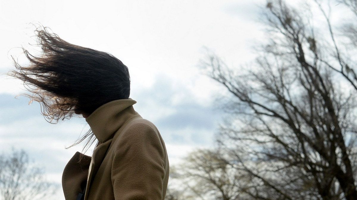 Жителей Киева предупредили об опасном ветре: когда ждать непогоды