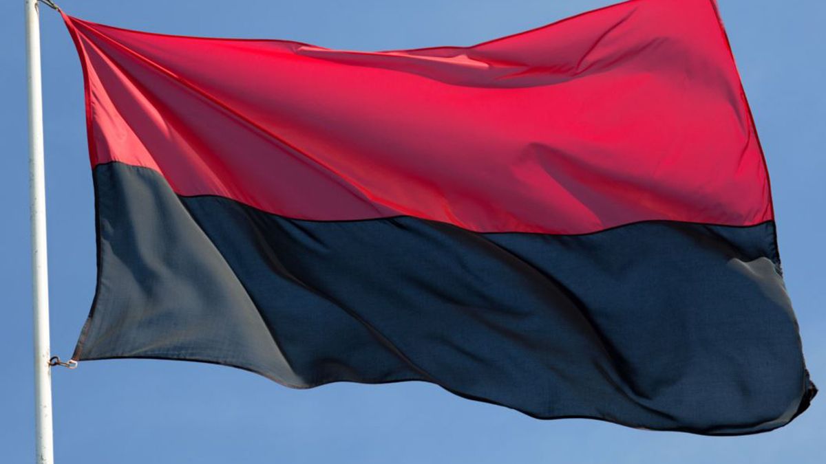 Под Киевом россиянин напал на флаг националистов и выпрыгнул из окна отделения полиции, попросившись в туалет