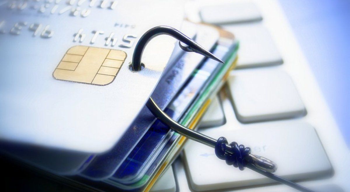 В сети появились мошенники, которые крадут персональные данные под видом розыгрыша денег: как не стать жертвой