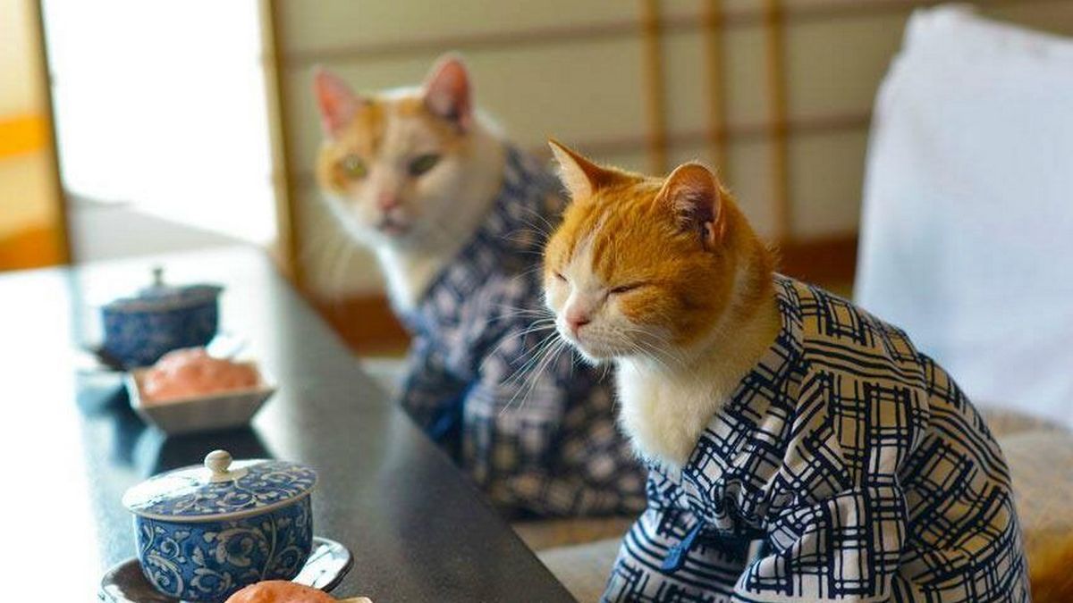 Какие курсы, тренинги и конференции ждут жителей Киева на этой неделе