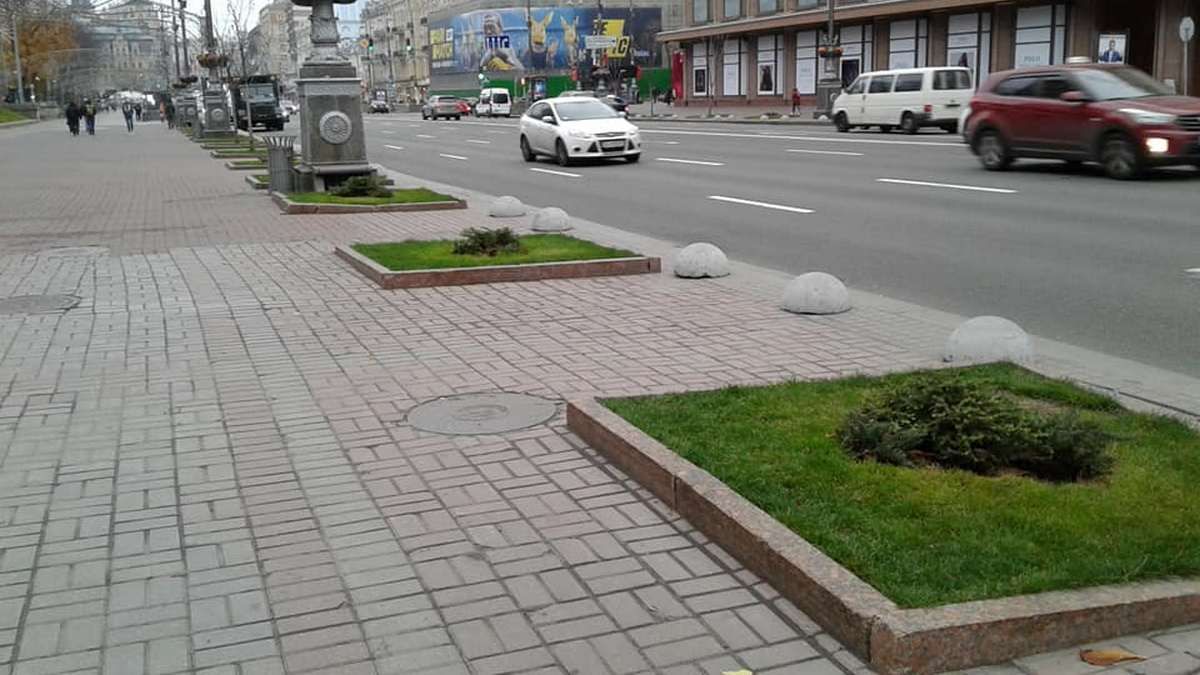 В Киеве на Крещатике вместо каштанов высадили можжевельник: подробности