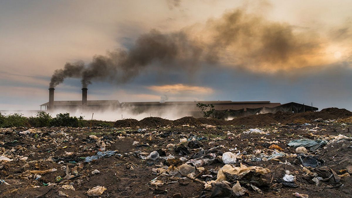 Какое слово стало главным в 2019 году и почему