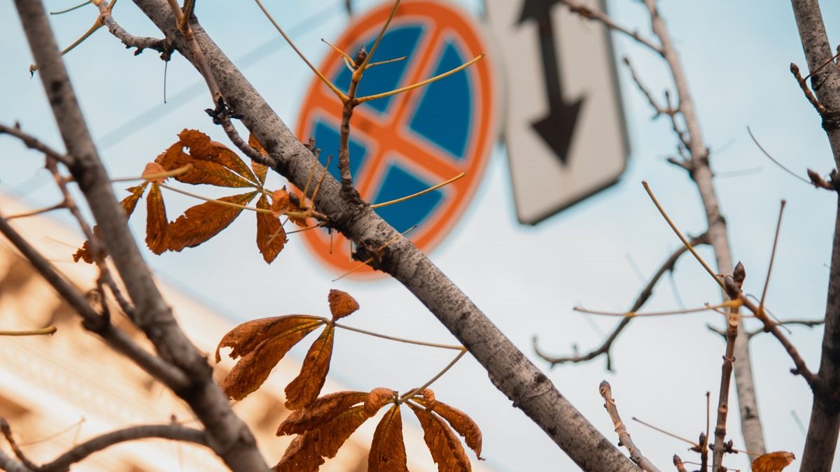 Погода на 28 ноября: в Киеве будет облачно