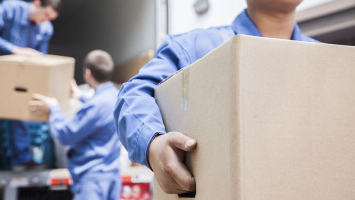 Услуги профессиональных грузчиков: сколько стоят и где заказывать