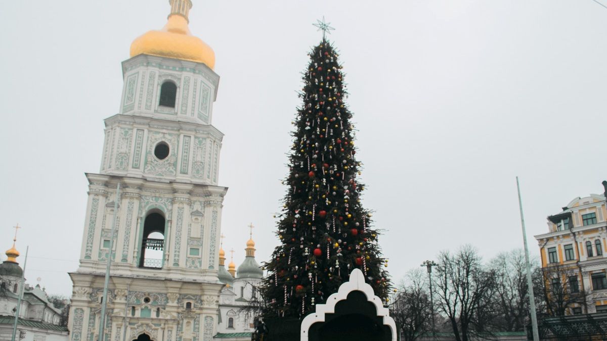 14 декабря: куда пойти сегодня