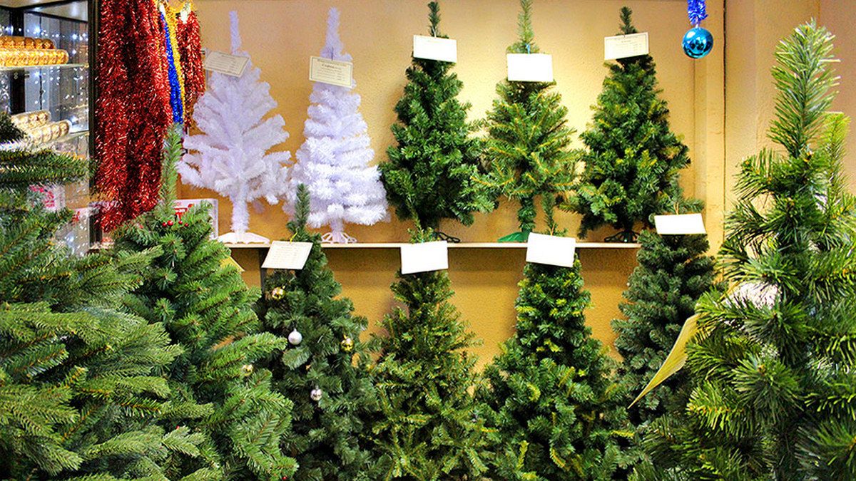 Искусственная, живая или в горшке: как выбрать елку на Новый год и не навредить природе