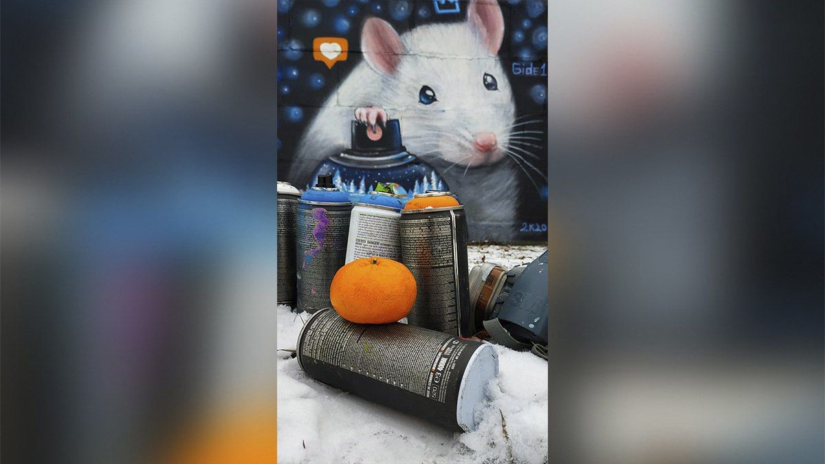 В Киеве возле метро "Днепр" поселился символ 2020 года: что значит мурал