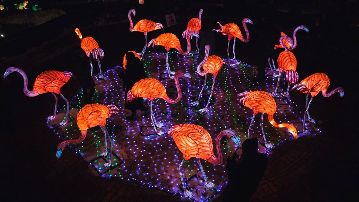 13 января: куда пойти сегодня