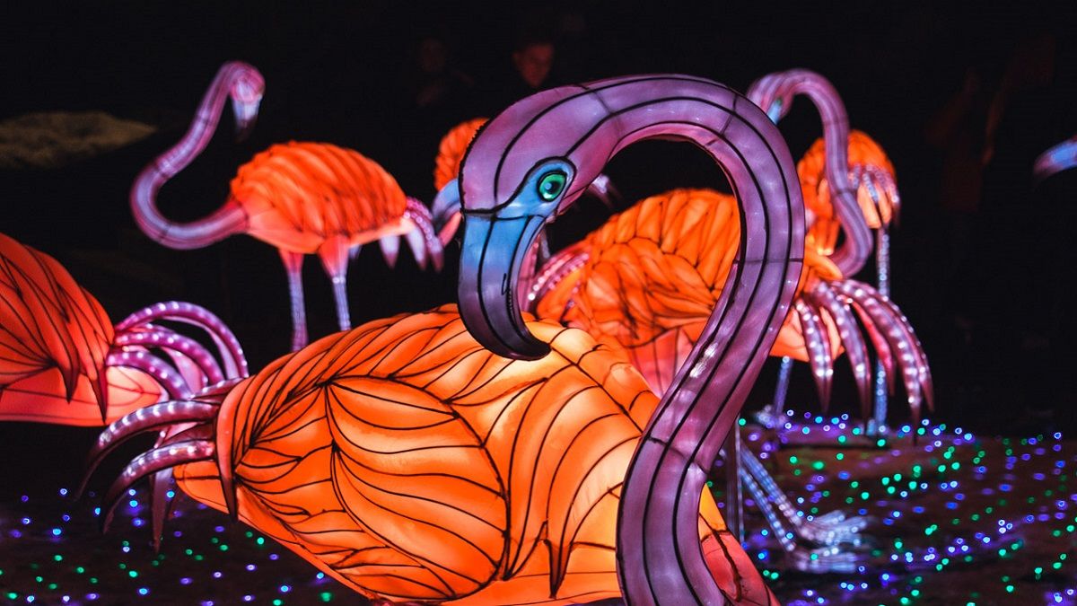 В Киеве на Певческом поле отпразднуют Китайский Новый год: когда и что ждет гостей мероприятия