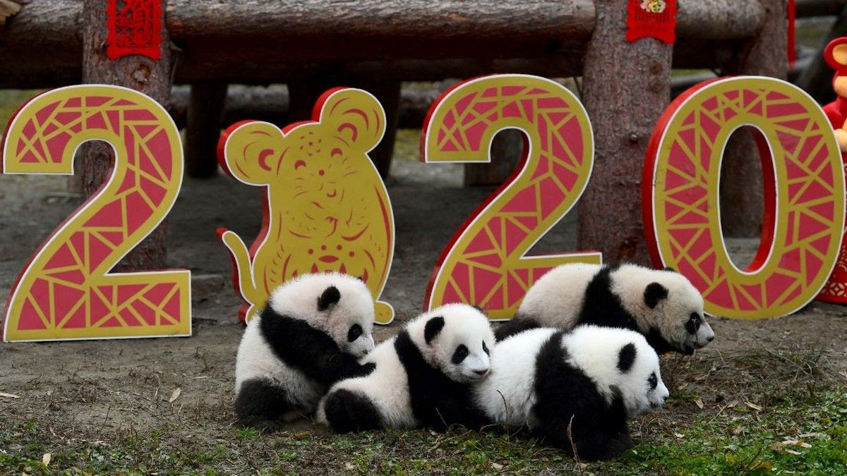 25 января: куда пойти сегодня