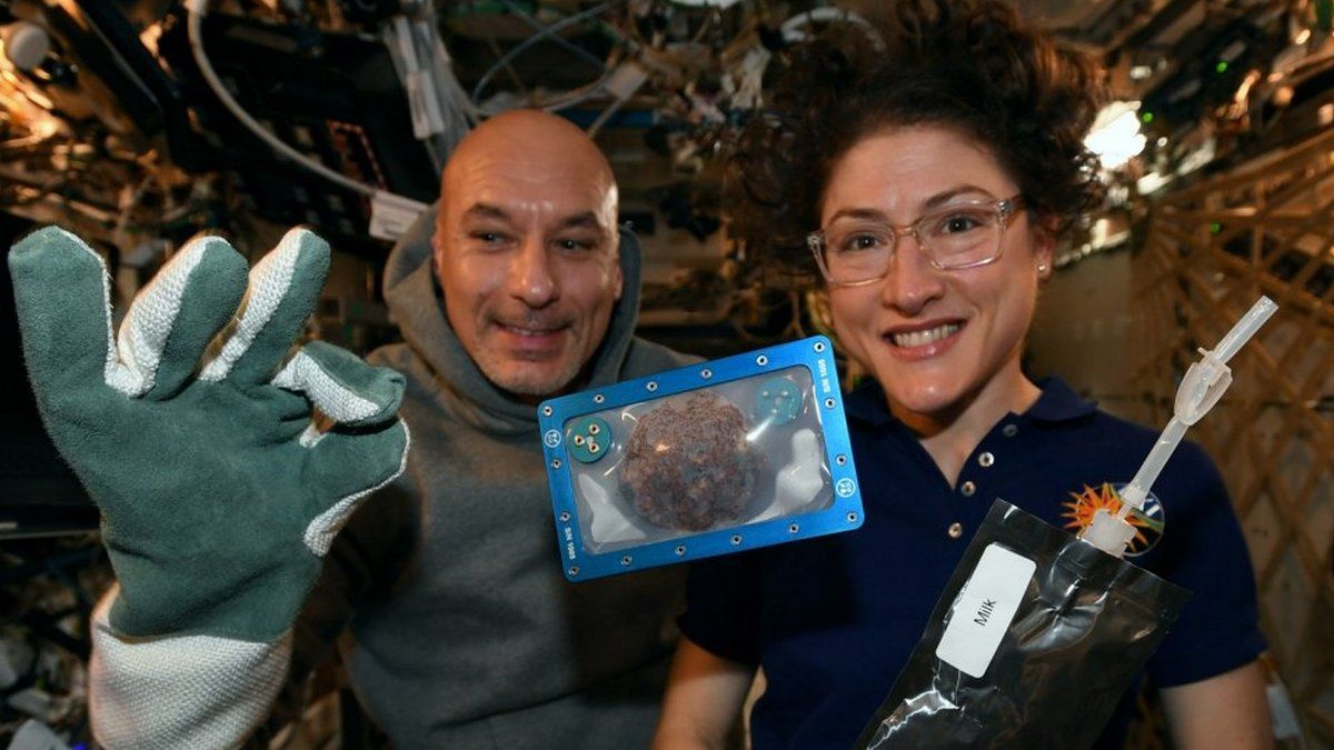 В космосе впервые испекли печенье, землетрясение в Турции забрало жизни 22 человек, а в Иране арестовали виновника крушения Boeing МАУ: ТОП новостей дня