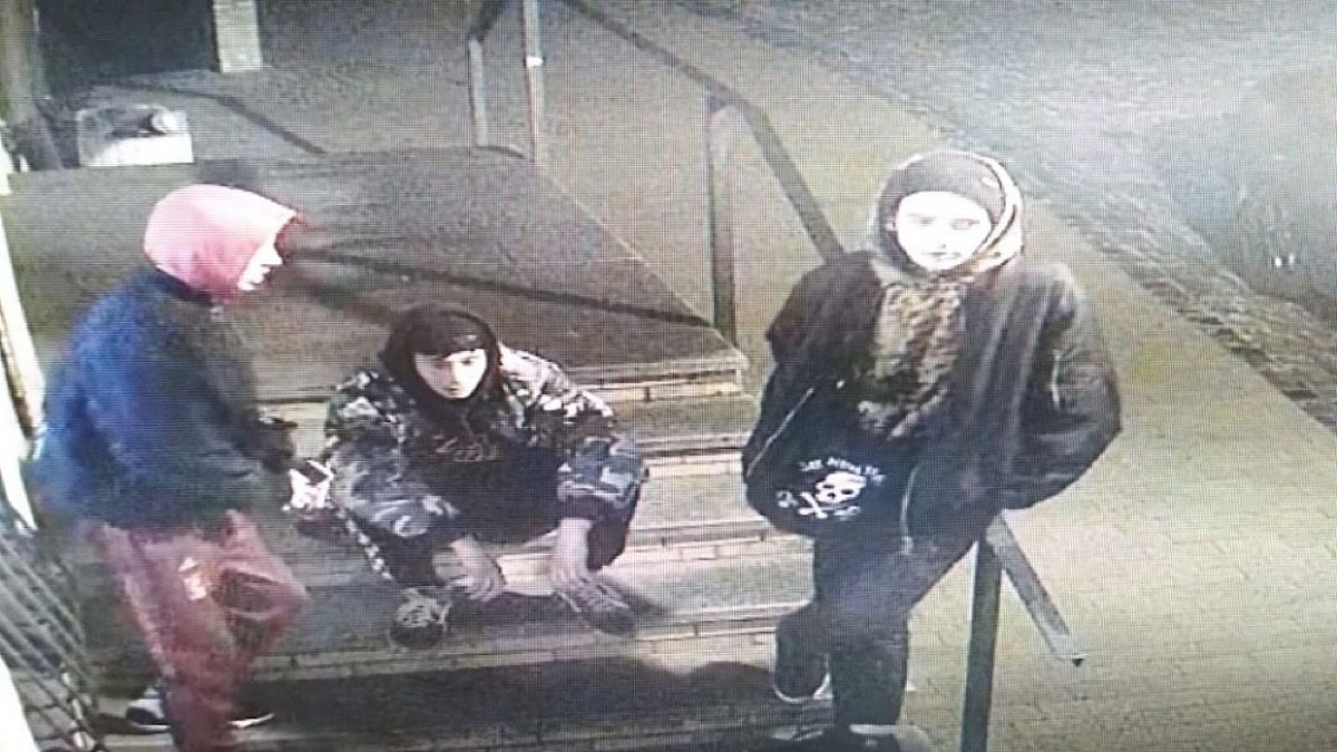 Вандализм на Алее Художников: появилось видео, где хулиганы повредили LED подсветку