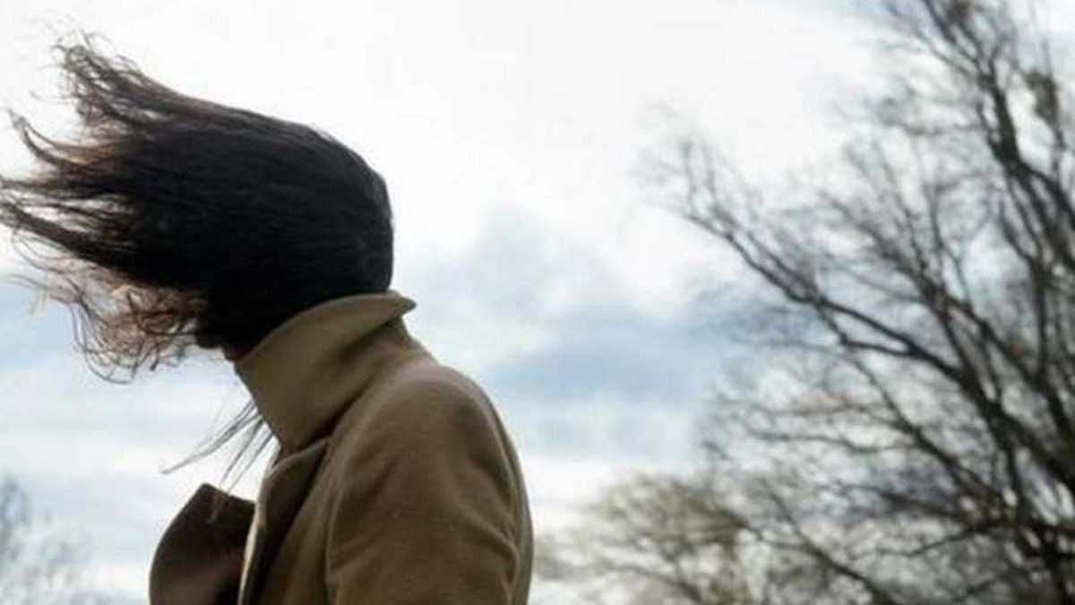 В Киеве поднимется сильный ветер: когда и что нужно успеть сделать