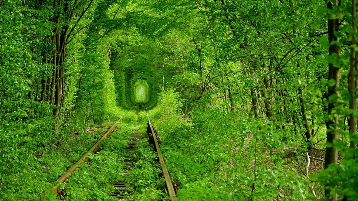 Украинский тоннель любви попал в десятку самых романтических мест мира