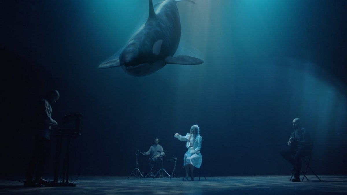 The Hardkiss выпустили трогательный клип на песню "Косатка": видео