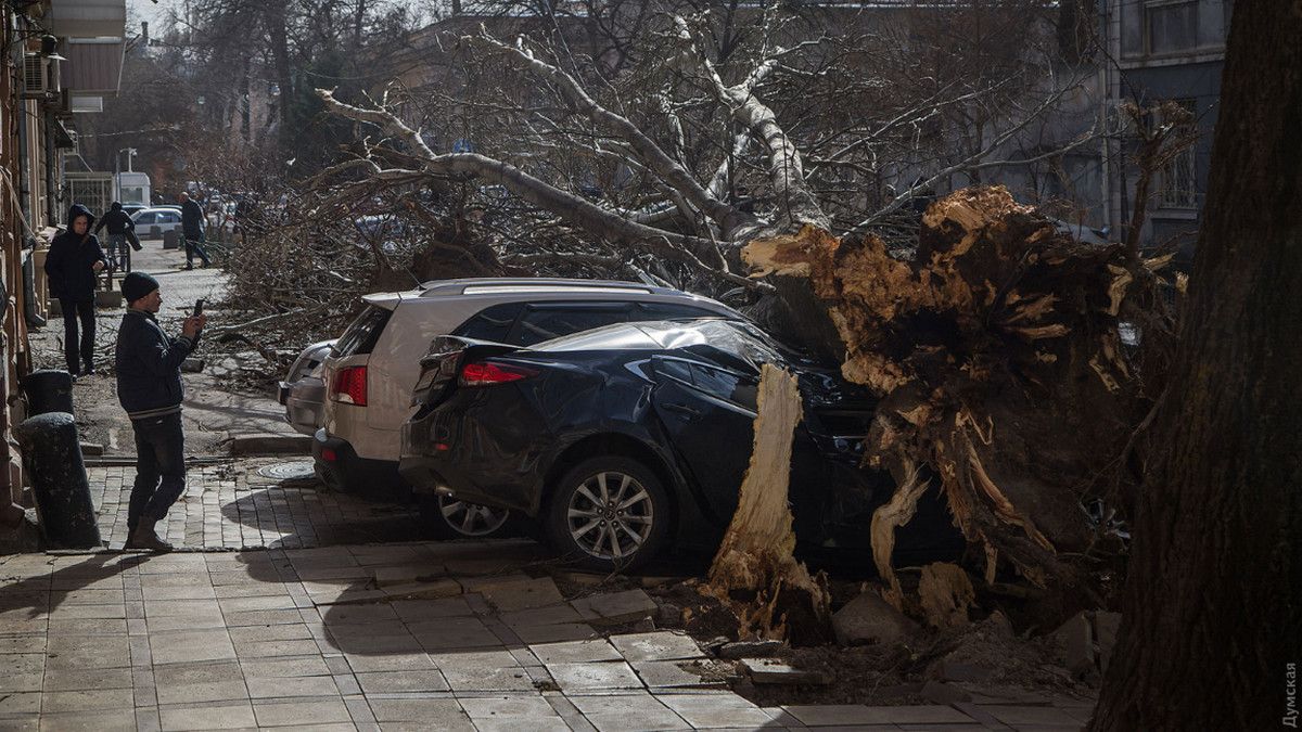 Ураган в Одессе, кровавые митинги в Багдаде и секрет аномальной зимы: ТОП новостей дня