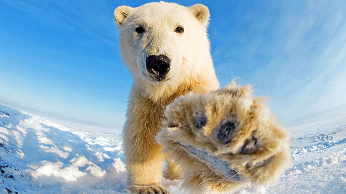 27 февраля: какой сегодня праздник и что происходило в Киеве год назад