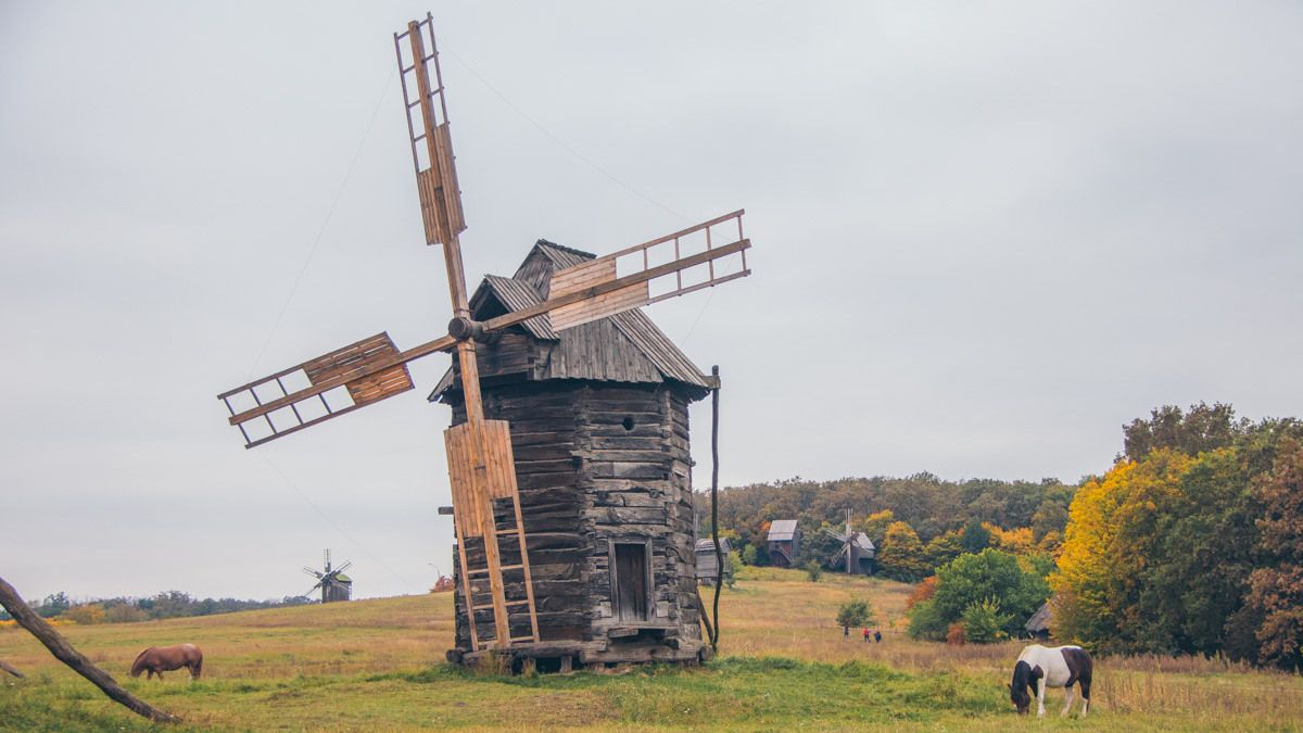 17 марта: куда пойти сегодня