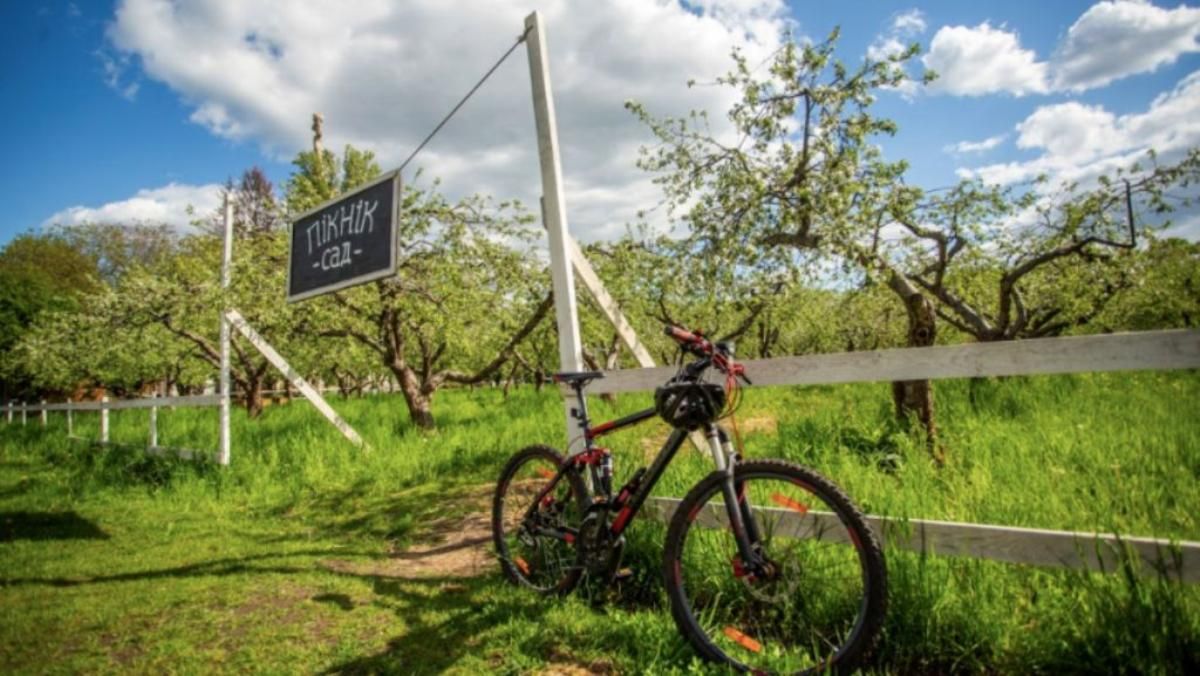 ВДНГ в Киеве открывается с 12 мая: какие локации будут работать и при каких условиях