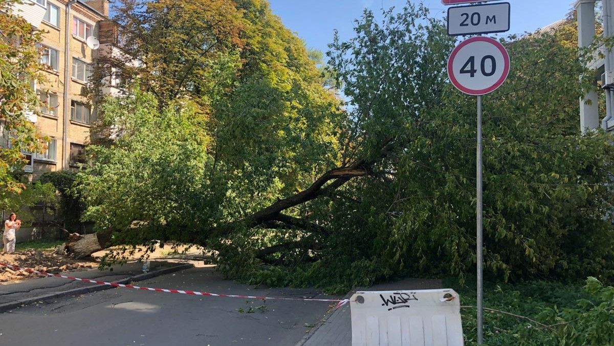 В Киеве объявили штормовое предупреждение: первый уровень опасности