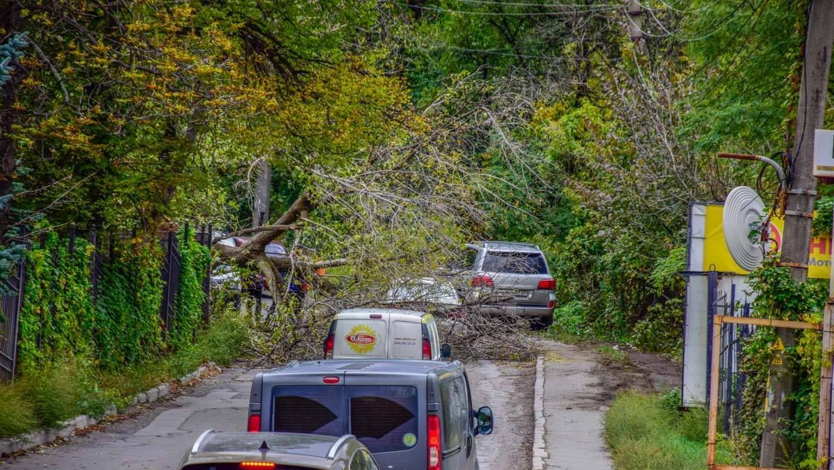 Не ходите под деревьями и не паркуйтесь у рекламных щитов: в Киеве объявили штормовое до конца дня