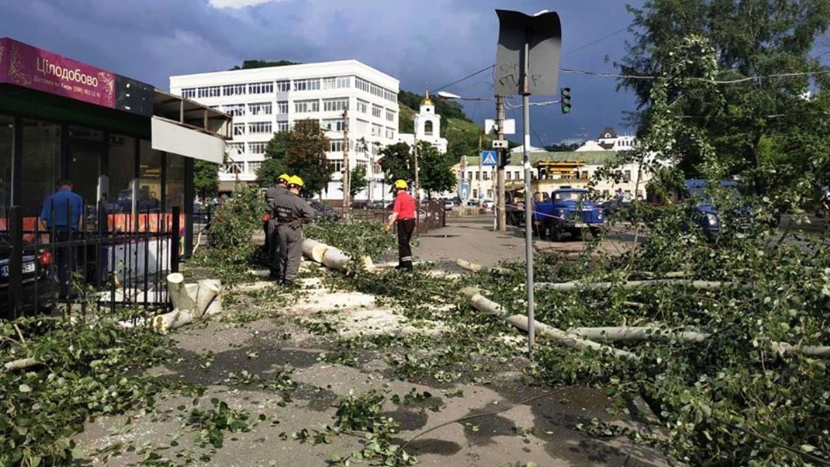 В Киеве во время ливня ветром завалило деревья в трех районах