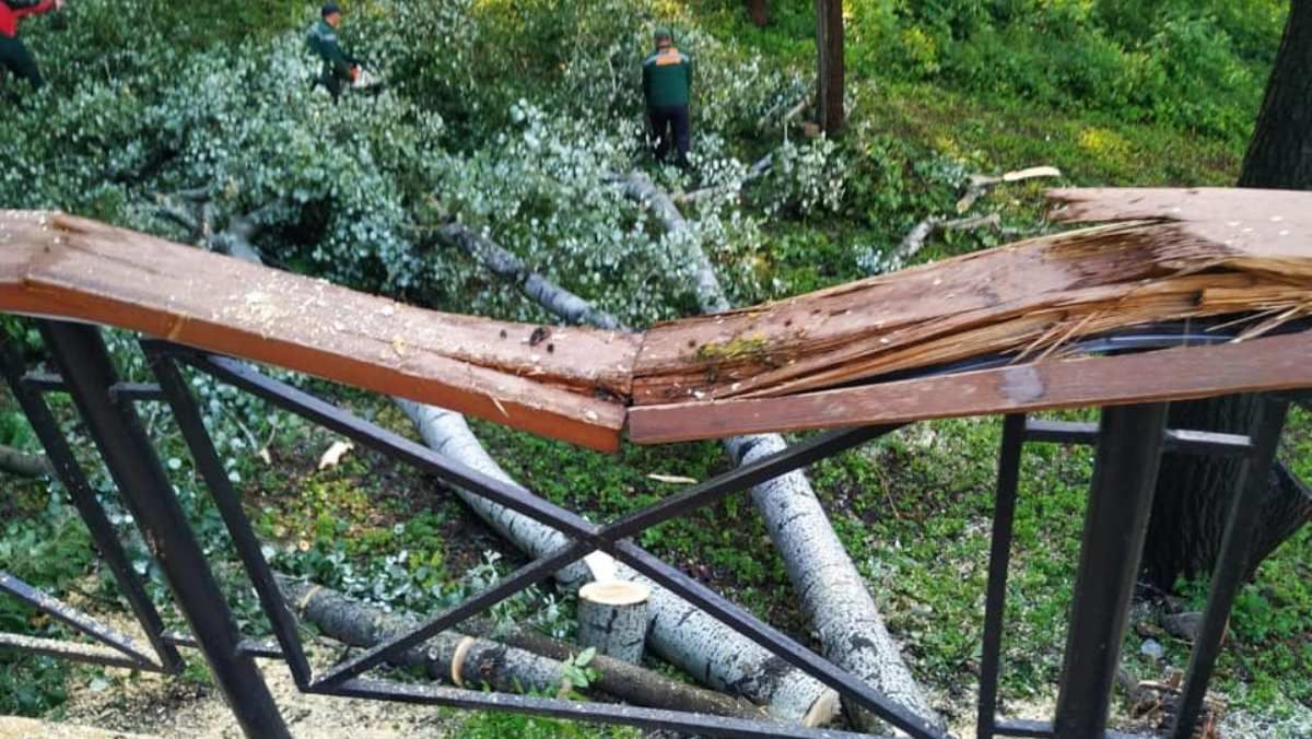 В Киеве упавшие от ветра деревья повредили Аллею художников на Подоле