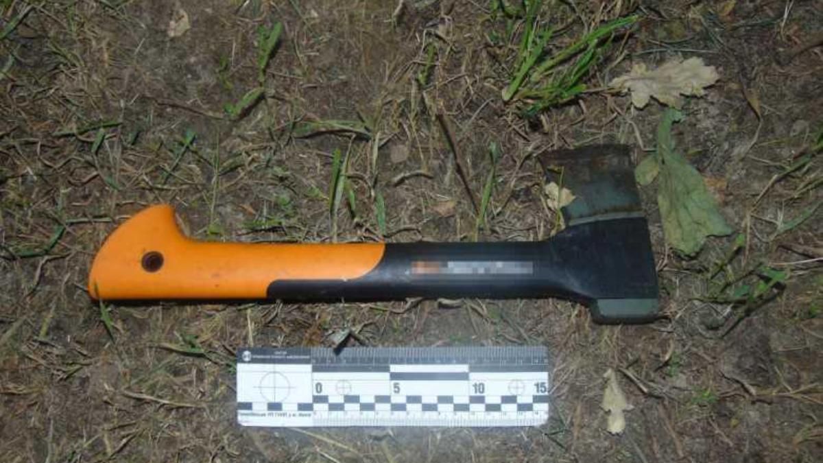 Дважды ударил по голове рукояткой от топора: в Киеве мужчина из-за телефона напал на девушку