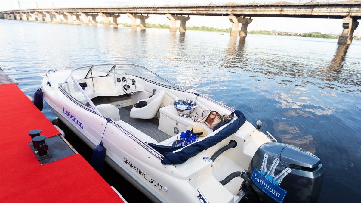 Затонувшие корабли, дикие острова и поселения аистов: в Киеве появился сервис авторских прогулок по Днепру